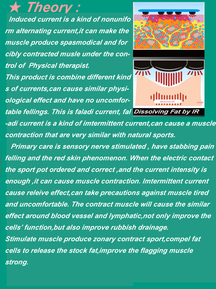 DW-3000 - Waist Trimmer Weight Loss Belt Beauty Machine Fat Loss - mychway