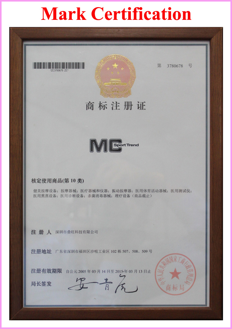 MC-500II - Microcurrent Faradic Facial Lifting Toning Machine Spa - mychway
