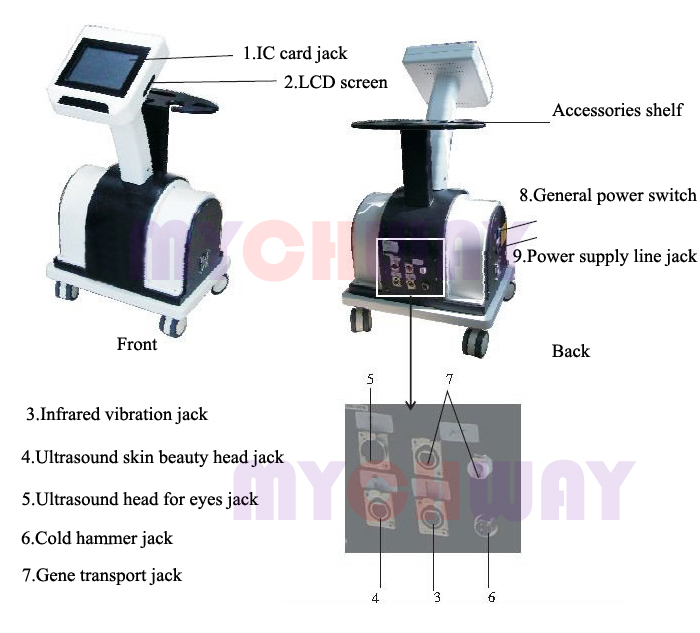SR-AP6 - 5in1 Derma Roller Infrared Ultrasonic Cold Hammer Bio - mychway