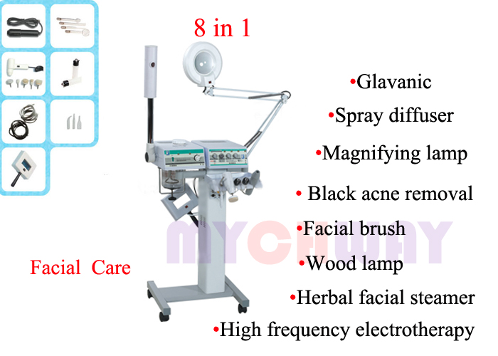 SR-F8800A - Galvanic Face Cleansing Brush Herb Spray Facial Steamer - mychway