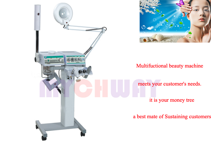 SR-F8800A - Galvanic Face Cleansing Brush Herb Spray Facial Steamer - mychway