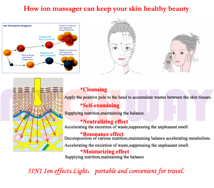 SR-LM01 - Ion Skin Rejuvention Facial Care Photon Beauty Machine - mychway
