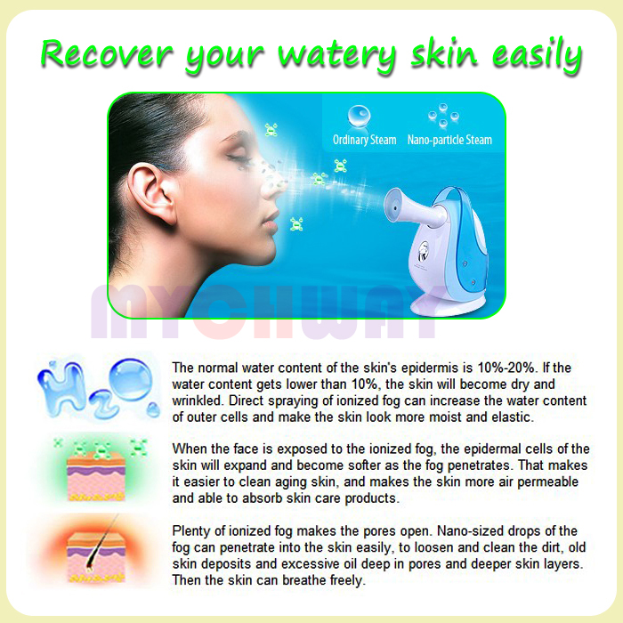 SRSK-0808 - Nano Ion Moisturize And Tightens Skin Platimum Steamer - mychway SRSK-0808 - Nano Ion Moisturize And Tightens Skin Platimum Steamer - mychway