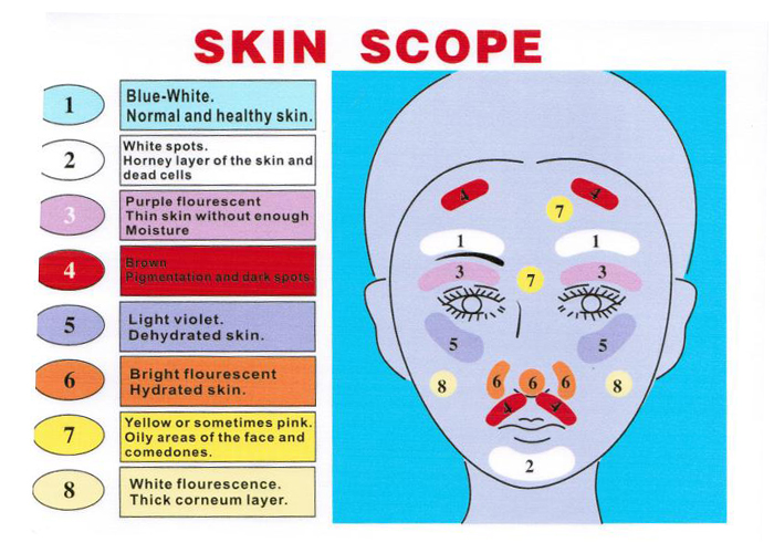 Facial Skin Analysis 49