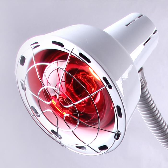 Infrared Heating Lamp