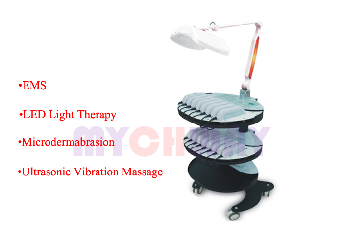 WL-H01 - Led Light Ultrasonic Vibration Massager Cavitation Ems - mychway