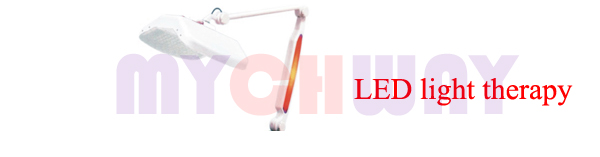 WL-H01 - Led Light Ultrasonic Vibration Massager Cavitation Ems - mychway
