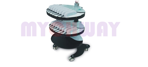 WL-H01 - Led Light Ultrasonic Vibration Massager Cavitation Ems - mychway