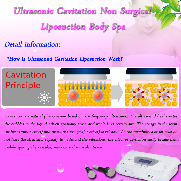 WL-SE01 - Ultrasonic Cavitation Non Surgical Liposuction Body Spa - mychway WL-SE01 - Ultrasonic Cavitation Non Surgical Liposuction Body Spa - mychway