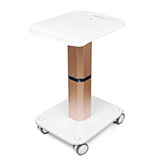 Beauty Salon Trolley Spa Styling Pedestal Rolling Cart