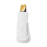 2 IN 1 Ultrasonic Facial Scrubber Spatula Spray Moisturizer