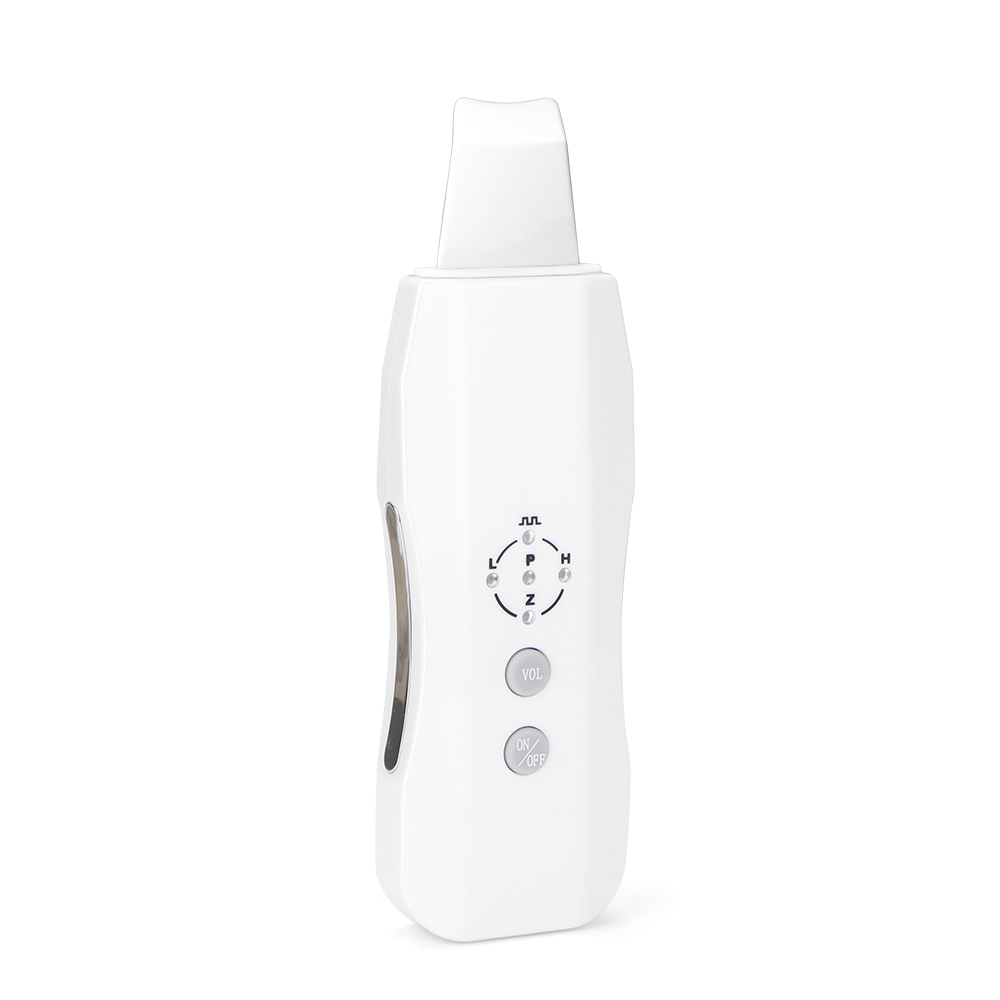 [SR-099] Buy 2in1 Rechargeable Powerful Anion Ultrasonic Rejuvenation ...