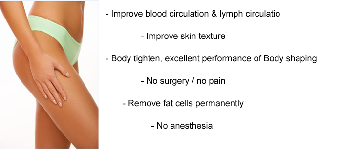 [WL-SE01] Buy Ultrasonic Cavitation Non Surgical 